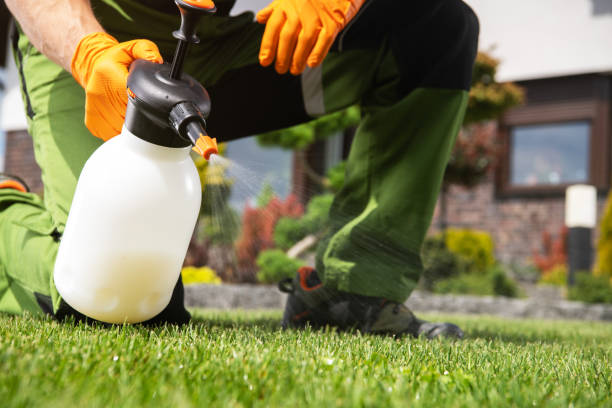 Best Best Pest Control Companies  in Pine Ridge, FL