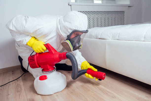 Flea Control Services in Pine Ridge, FL