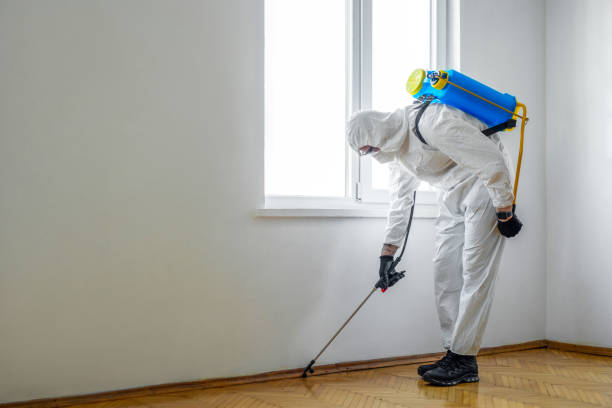 Best Pest Control Near Me  in Pine Ridge, FL