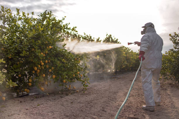 Best Pest Control for Businesses  in Pine Ridge, FL