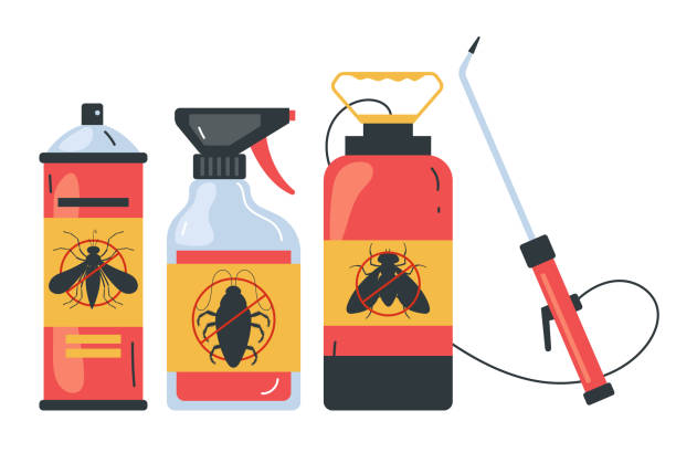 Best Termite Control Services  in Pine Ridge, FL